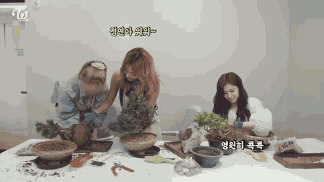 Twice Tv Home Gardening GIF