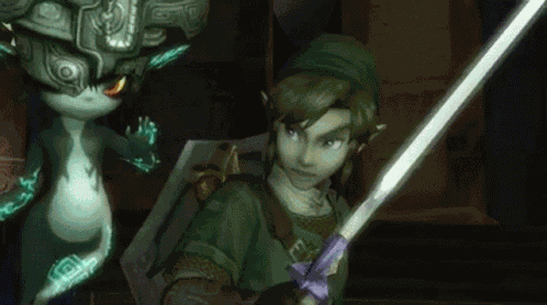 Twilight Princess The Legend Of Zelda GIF