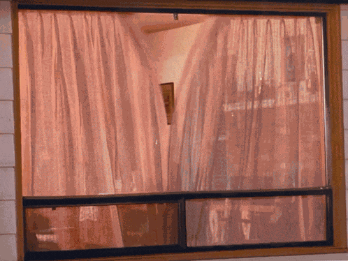 Twin Peaks Nadine GIF