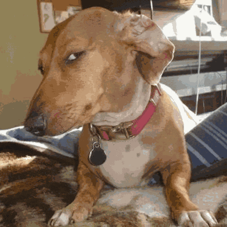 Twinkling Watermelon Ha Lee Chan GIF