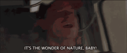 Twister Nature GIF