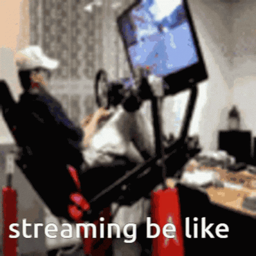 Twitch Gaming GIF