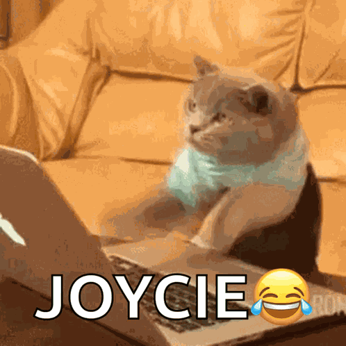 Typing Cat GIF
