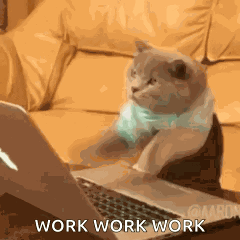 Typing Cat Typing GIF