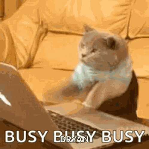Typing Laptop GIF