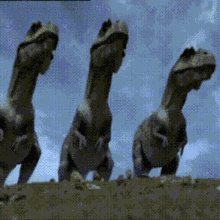 Tyrannosaurus Rex Prehistoric Park GIF