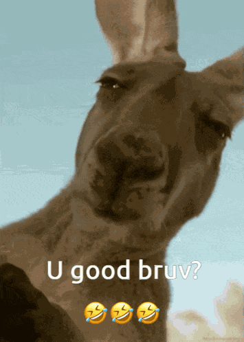 U Good Bruv U Good Bro GIF