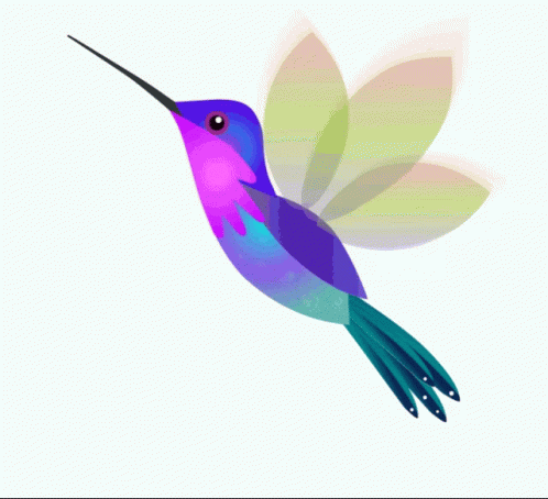 Ucentral Colibrí U Central GIF
