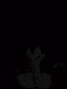 Ultra Ssj4 Gogeta Gogeta Ssj4 GIF