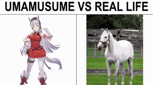 Umamusume GIF