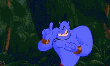 Umm No Genie GIF