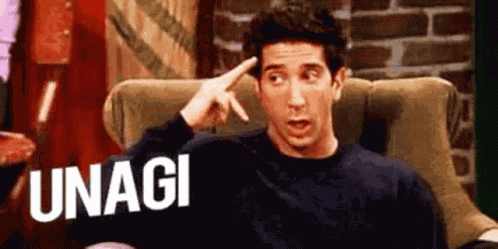 Unagi Ross Geller GIF