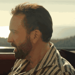 Unbearable Weight Of Massive Talent Nicolas Cage GIF