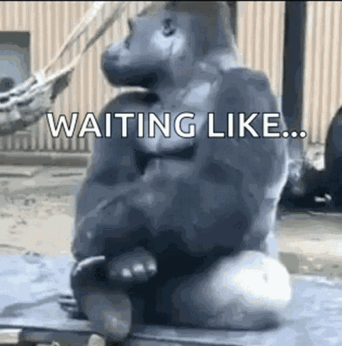Unbothered Waiting GIF