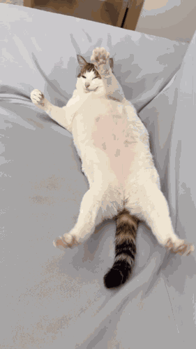 Uncle Bao Stretch GIF