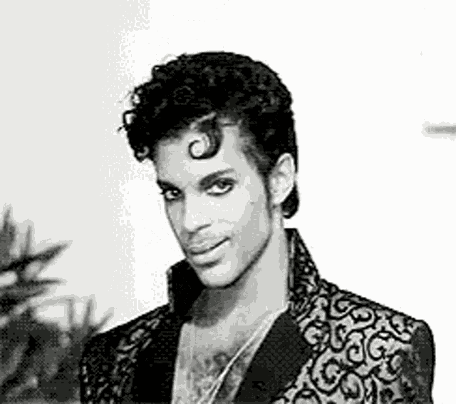 Under The Cherry Moon Prince GIF