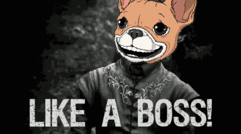 Underdogs Underdogs Nft GIF