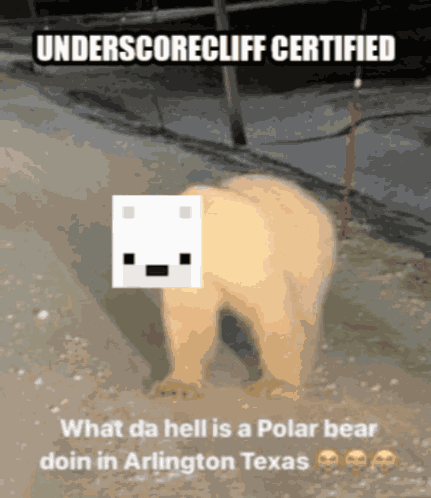Underscorecliff Arlington Texas GIF