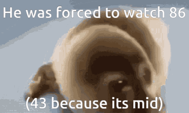 Undertaker 86 GIF