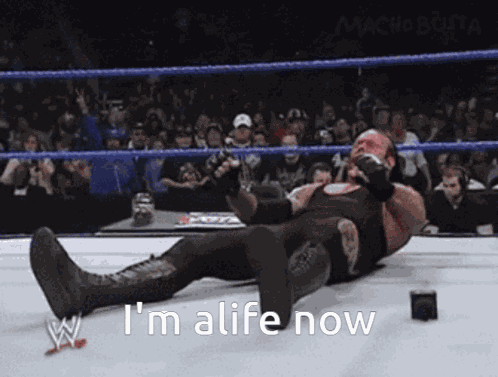 Undertaker The Undertaker GIF