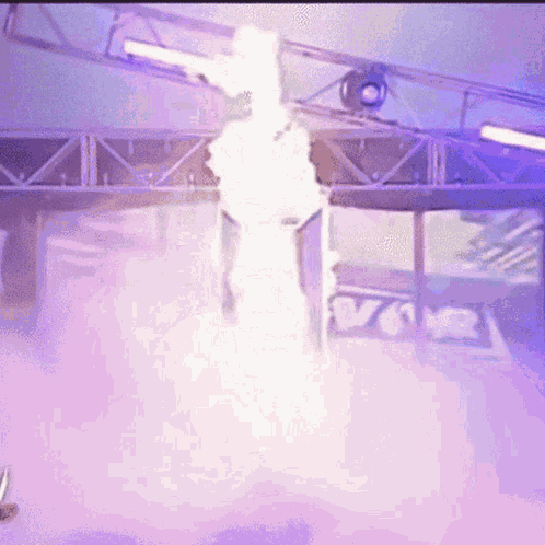 Undertaker Wwe GIF
