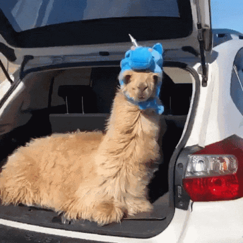 Unicorn Llama GIF