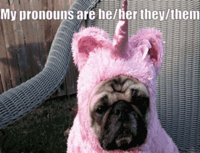 Unicorn Pronouns GIF