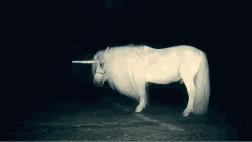 Unicorni Tumblr GIF