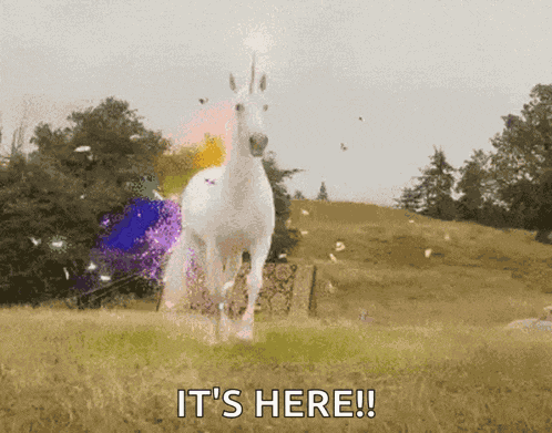 Unicorns GIF