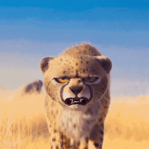 Unimpressed Cheetah GIF
