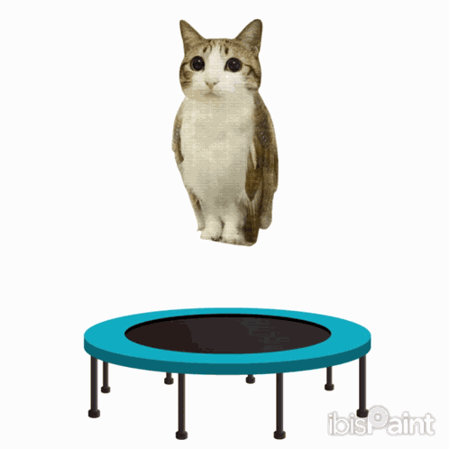 Uniquetagtofindmystickers Meowl Meme GIF