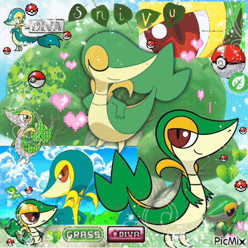 Unova Starter Pokemon GIF