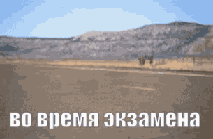 перекатиполе незнаю экзамен сессия пусто GIF