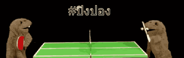 ปิงปอง ไม่ยอมกัน GIF