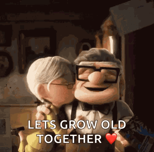 Up Movie Love GIF