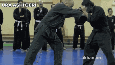 Ura Ashi Geri GIF