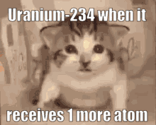 Atom GIFs