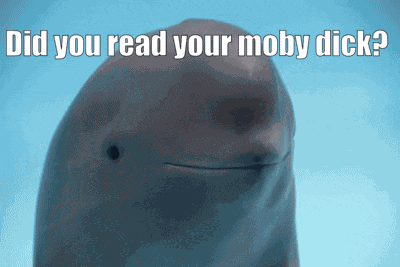 Ureadmobydick Whale GIF