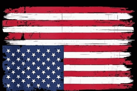 Us Flag Distress Meme