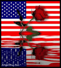 Us Flag Rose GIF
