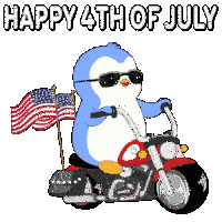 Usa America Sticker