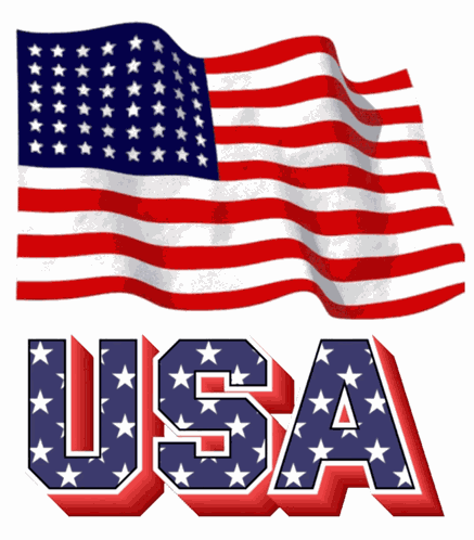 Usa America GIF