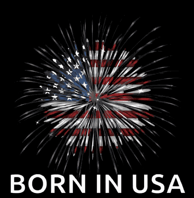 Usa America GIF