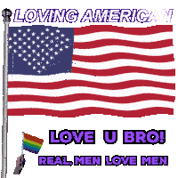 Usa Flag Usa Usa Sticker