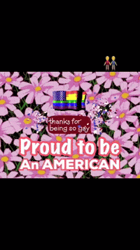 Usa Gay Gay Usa GIF