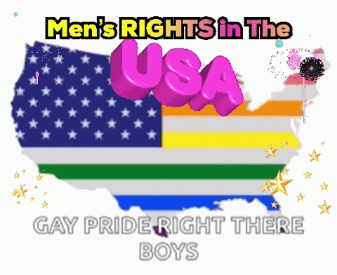 Usa Gay Gay Usa GIF