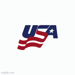 Usa Goal Team Usa Goal GIF
