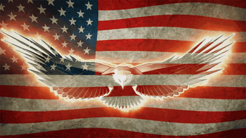 Usa United States Of America GIF