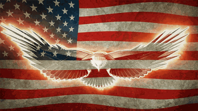 Usa United States Of America GIF