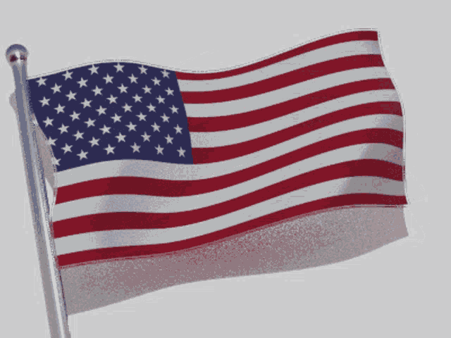 Usa United States GIF